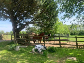 A Unique & Tranquil Smallholding Retreat